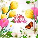 Birthday